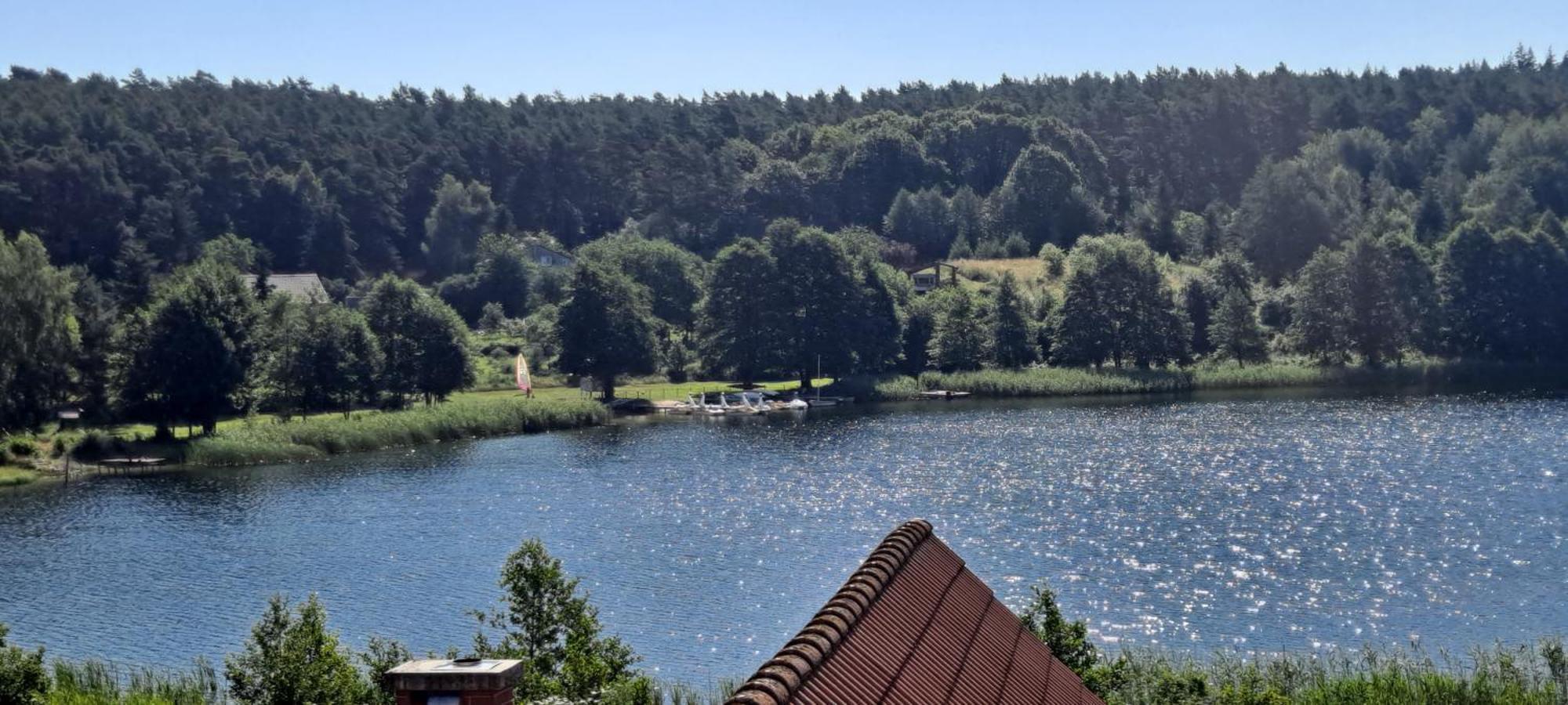 Goscinne Keja * Wiselka